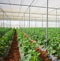 Hi-Tech Protected Farming Guidance