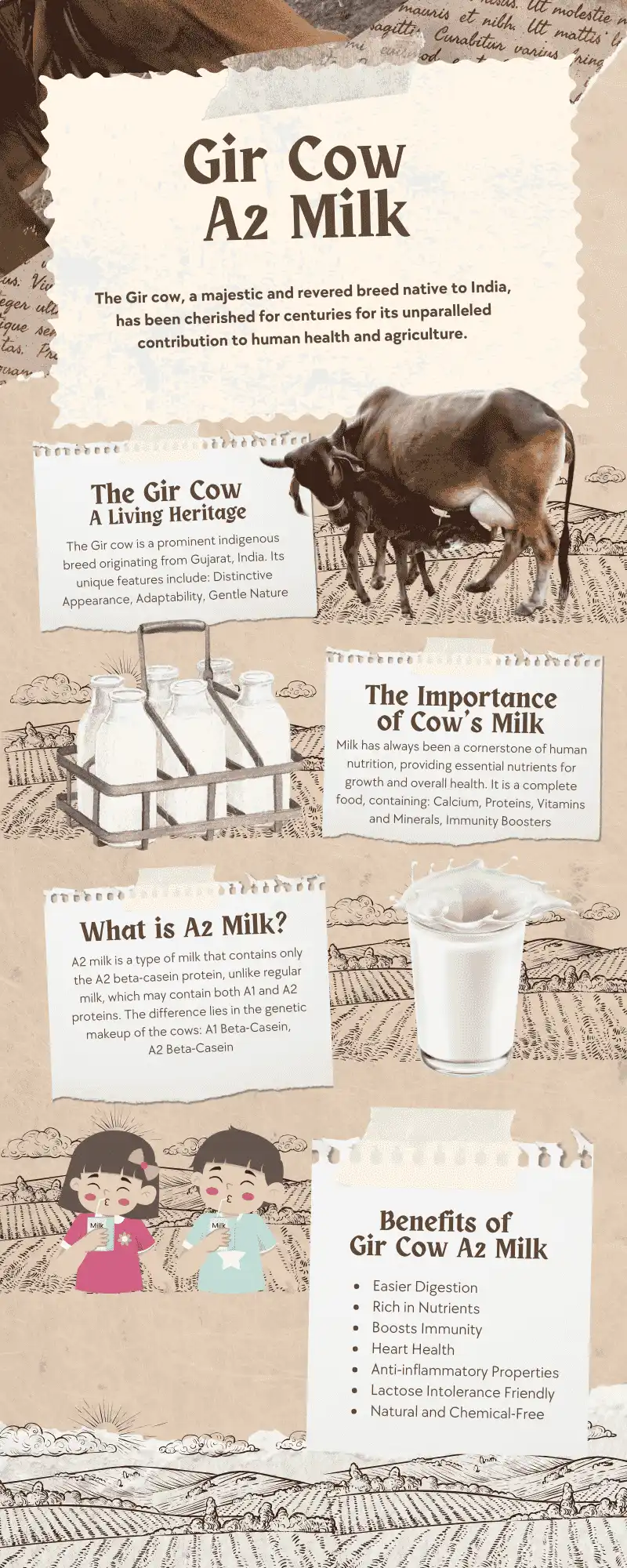 Svakara A2 gir Cow Milk